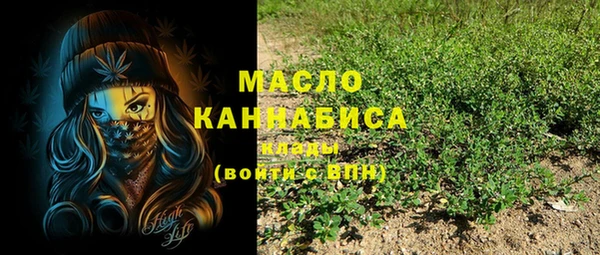 молекула духа Верхний Тагил