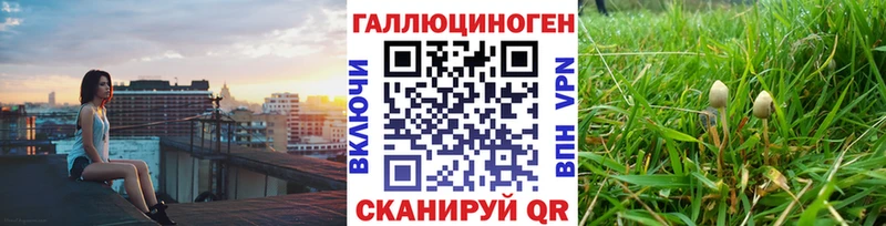Псилоцибиновые грибы ЛСД  купить  цена  Новый Оскол 
